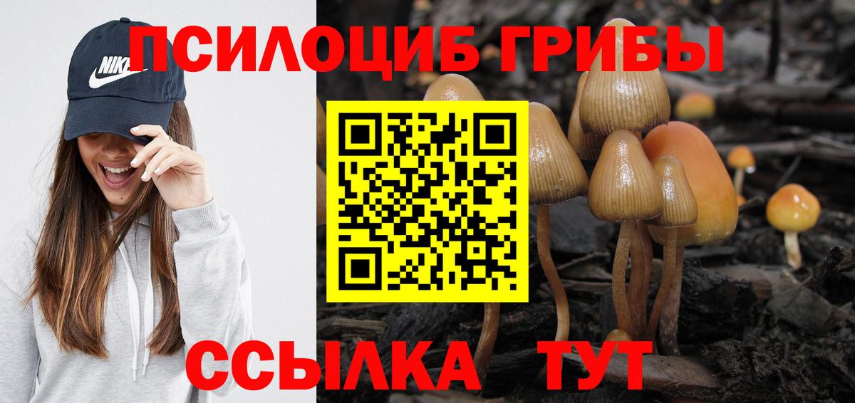 Москва  Галлюциногенные грибы Psilocybine cubensis  Вход с VPN  Галлюциногенные грибы MAGIC MUSHROOMS 
