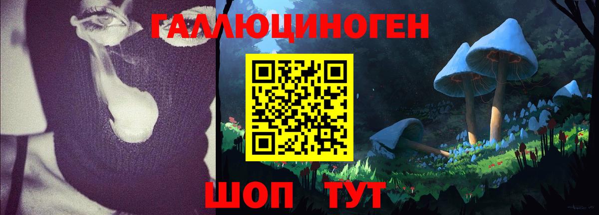Псилоцибиновые грибы MAGIC MUSHROOMS Москва